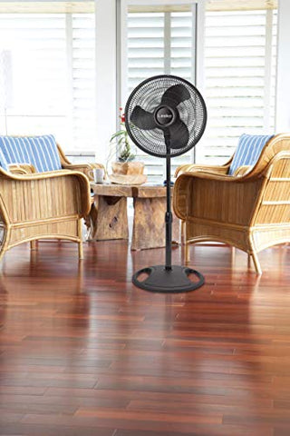 Image of Oscillating Stand Fan - AVM