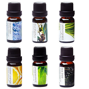 Top 6 Aromatherapy Oils Set-6 Pack