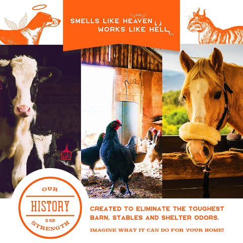 Image of Pet Odor Eliminator - AVM