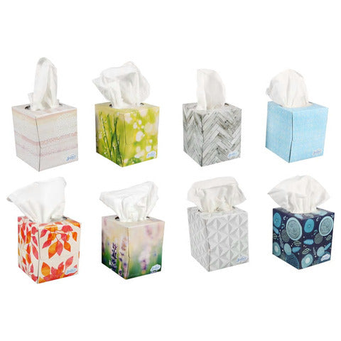 Image of Facial Tissues with Aloe- 6 packs - AVM