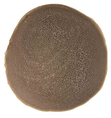 Image of Agelgle Regular Injera - AVM