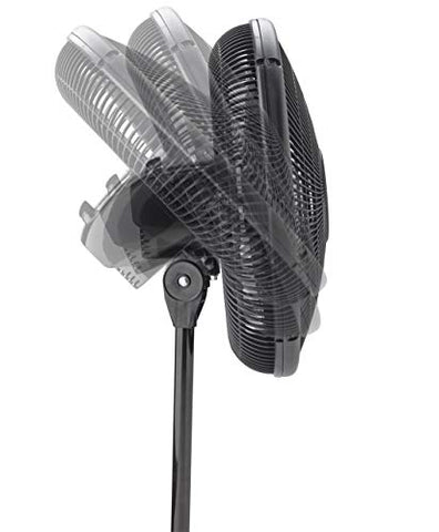 Image of Oscillating Stand Fan - AVM