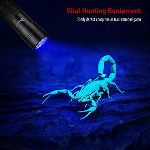 Image of Blacklight Flashlights - AVM