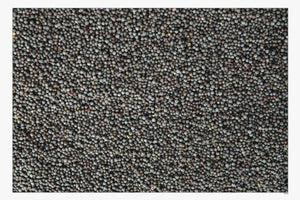 Mustard Seed (የጎመን ዘር)
