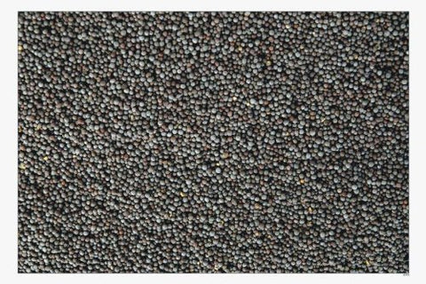 Image of Mustard Seed (የጎመን ዘር) - AVM