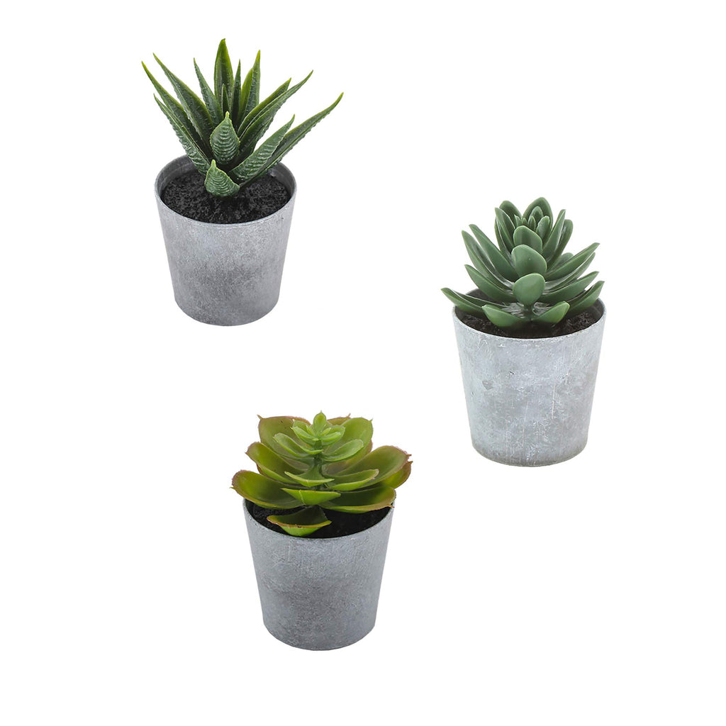 Artificial Succulents set of 3 mini Realistic Fake Plants - AVM