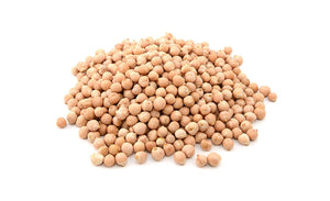 Garbanzo Bean (ሽምብራ ዱቤ)